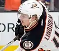 Verteidiger Hampus Lindholm
