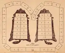 Zuschnitt für eine Boa aus zwei Waschbärfellen, 1895