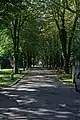 Handel-Mazzetti-Promenade