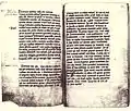 Handschriftenbuch 1320