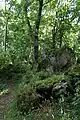 Der Gipfel