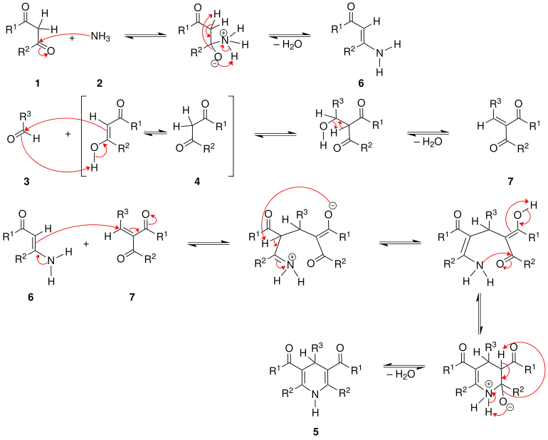 Mechanismus der Hantzschschen-Dihydropyridinsynthese