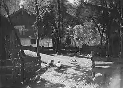 Im Bauerngarten, um 1886