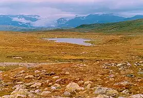 Gletscher in der Hardangervidda im August