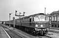 D5300 in Harringay (April 1959)