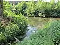Hase am Haseuferweg mit der Mündung der Kloeckner-Hase in Osnabrück