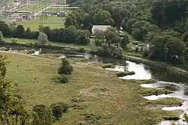 Buhnen am Ruhrufer - Refugien für Fische und Vögel