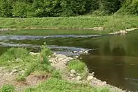 Buhnen