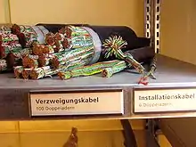 Hauptkabel und Verzweigungskabel mit 2000, 100 und 6 Doppeladern.