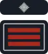 stv. Wehrführer/-in