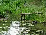 Idylle am Heubach
