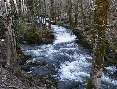 Die Haute-Loue bei Miremont an der Grenze zu Savignac-Lédrier