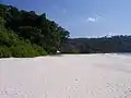 Radhanagar Beach