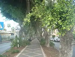 Straße in Kiryat Ata