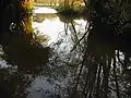 Der Fluss Enborne at Headley Ford, in der Nähe von Crookham Common