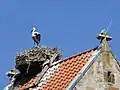 Storchennest auf dem Kirchturm