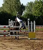 Verweigerungen können einen Sturz des Reiters zur Folge haben.