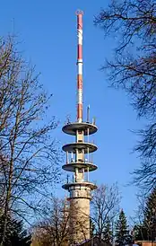 Bild des Objektes