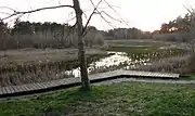 Gleicher Blickwinkel auf verkrautete Seefläche mit geringem Wasserstand, Frühjahr 2020