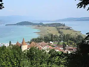 St. Petersinsel im Bielersee, im Vordergrund Erlach