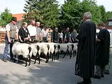 Prämierung der Jungböcke
