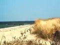 Strand am Steinwarder