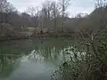 Einer der vom Heilsbach gespeisten und stark eutrophierten Teiche im Derletal