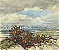 Die Rhone in der Provence, 1964