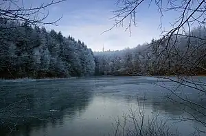 Heinitzer Weiher (2007)