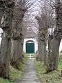 Lindenallee