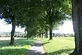 Im südlichen Teil beim 22. Baum