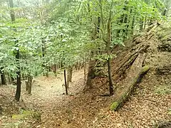 Blick vom westlichen Fuß des Burghügels in den nach Osten abknickenden Halsgraben