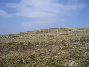 Henshaw Hill
