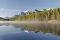 Der Herbert Lake