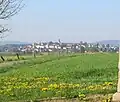 Blick auf Herbstein vom Radweg