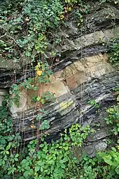 Geologischer Aufschluss im Schiffswinkel (Herdecke)