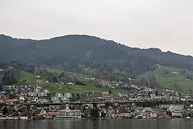Hergiswil vom See her gesehen