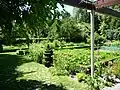 Bauerngarten
