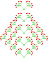 Heterokladische Thyrse