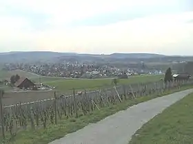 Das Dorf Hettlingen