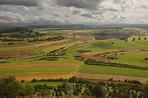 Blick vom Kornbühl. Kleinräumige Felder der „Schichtflächenalb“, viele  Biotope (Hecken). Am Hang:  Wacholderheide