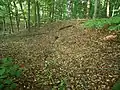 Ringwallreste, südlicher Außenbereich
