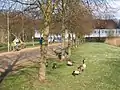 … ums Schloss