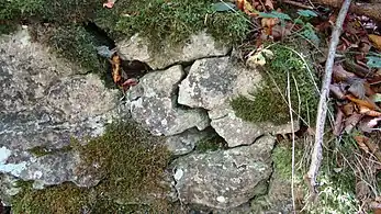 Restmauerwerk der ehemaligen Burg Hielock