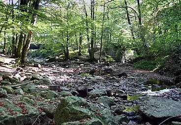 Zusammenfluss von Hill und Soor (rechts)
