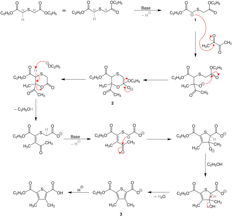 Hinsberg-Thiophensynthese-Mechanismus