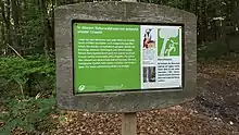 Naturwaldreservat Spielberger Leiten
