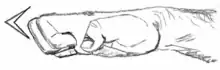 Hiraken