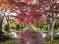 Botanischer Garten Hiraoka