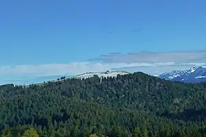 Hirschberg, der höchste Berg des Pfänderstocks